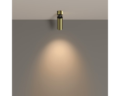 Потолочный светильник Technical C055CL-L12W3K-W-BS