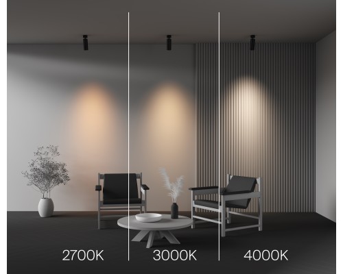 Потолочный светильник Technical C055CL-L20W2.7-3-4K-M-B