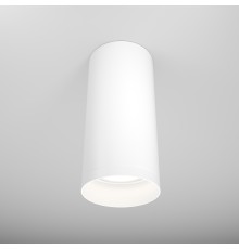 Потолочный светильник Technical C010CL-01W