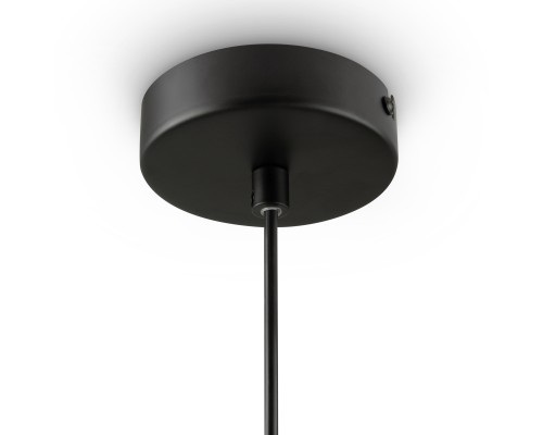 Подвесной светильник Freya FR1011PL-01B1