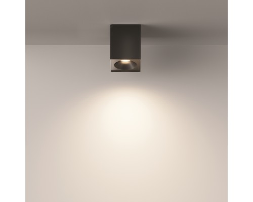 Потолочный светильник Technical C030CL-01B