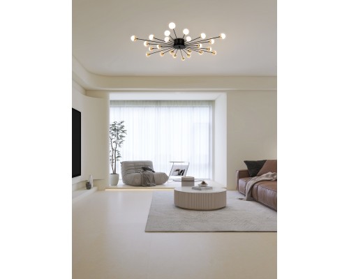 Потолочный светильник Freya FR5242CL-24B