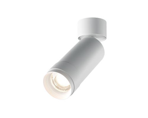 Потолочный светильник Technical C055CL-L12W4K-Z-W