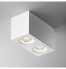 Потолочный светильник Technical C013CL-02W