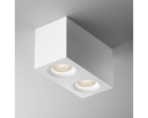 Потолочный светильник Technical C013CL-02W