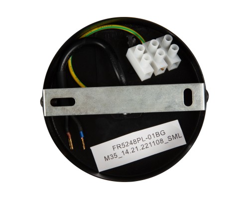 Подвесной светильник Freya FR5248PL-01BG