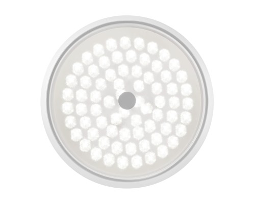 Потолочная светодиодная люстра Freya Cells FR10012CL-L24W