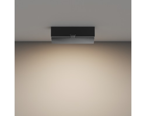 Потолочный светильник Technical C133CL-12W3K-B