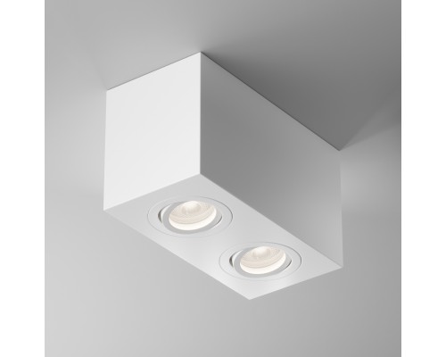 Потолочный светильник Technical C017CL-02W