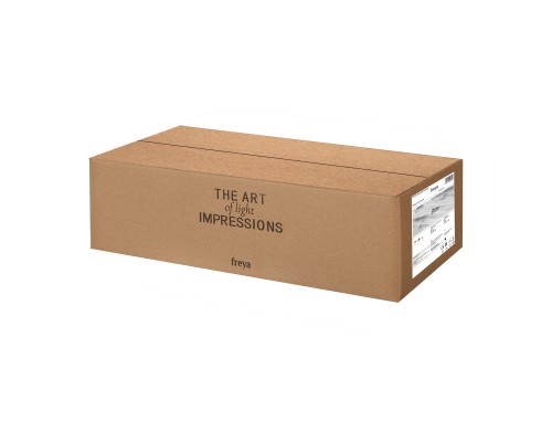 Потолочная люстра Freya FR5101-CL-03-CN Bice хром