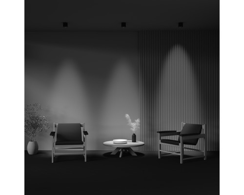 Потолочный светильник Technical C217CL-15W3K-B