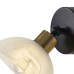 Настенный светильник (бра) Freya FR5526WL-01BBZ