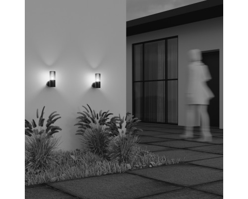 Настенный светильник (бра) Outdoor O432WL-01GF