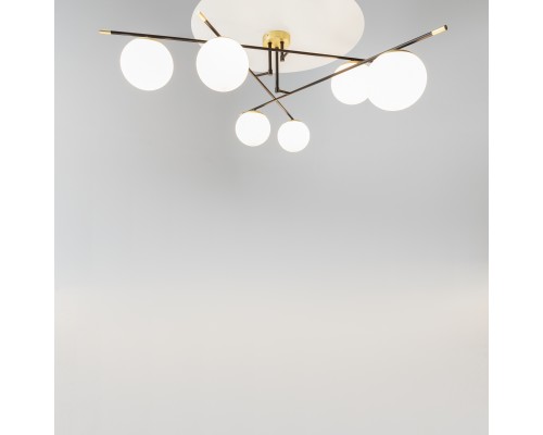 Потолочный светильник Maytoni MOD048CL-06G