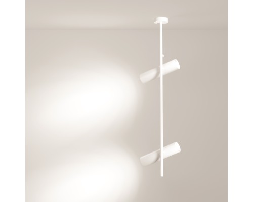 Потолочный светильник Technical C021CL-02W