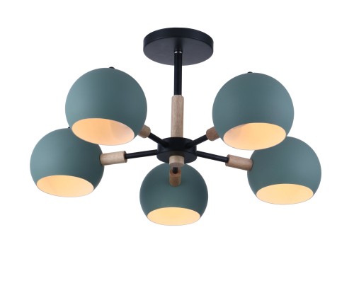 Потолочный светильник Freya FR5032CL-05B