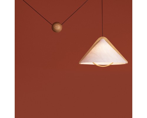 Потолочный светильник Freya FR5554CL-01T