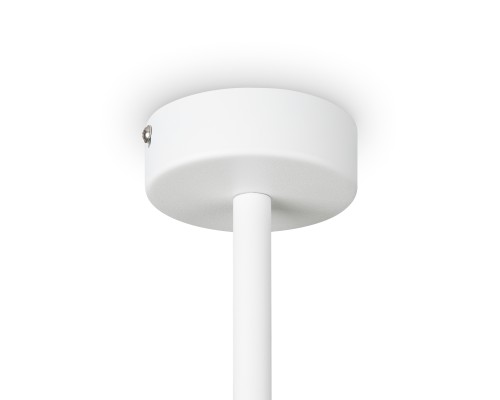 Потолочный светильник Freya FR5363CL-06W