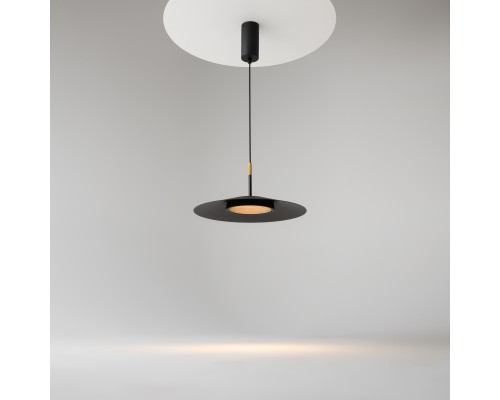 Подвесной светильник Maytoni MOD041PL-L15B3K1