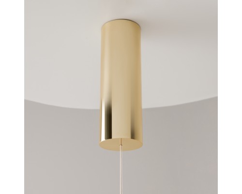 Подвесной светильник Maytoni MOD216PL-L10G3K