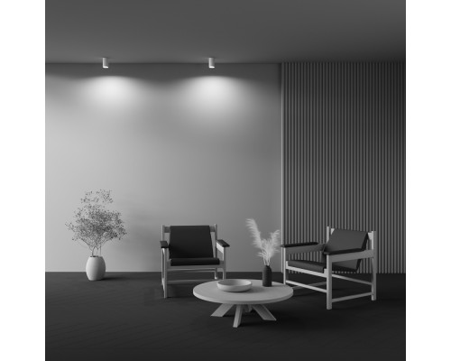 Потолочный светильник Technical C003CW-01W