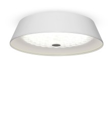 Потолочный светильник Freya FR10013CL-L24W