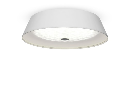 Потолочный светильник Freya FR10013CL-L24W