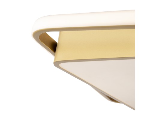 Потолочный светильник Freya FR10026CL-L93G