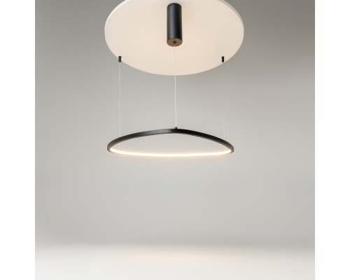 Подвесной светильник Maytoni MOD072PL-L28B3K