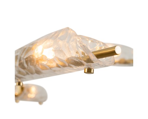 Потолочный светильник Freya FR5420CL-06BS