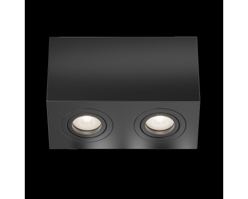 Потолочный светильник Technical C017CL-02B