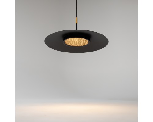 Подвесной светильник Maytoni MOD041PL-L15B3K1