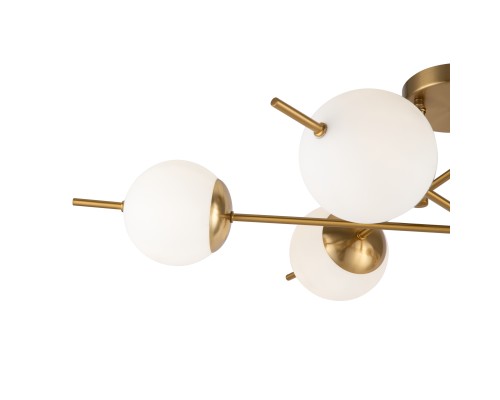 Потолочный светильник Freya FR5205PL-06BS