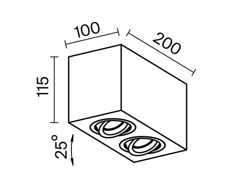 Потолочный светильник Technical C017CL-02B