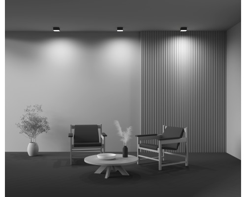 Потолочный светильник Technical C032CL-12W4K-SQ-B