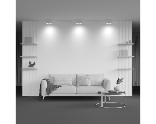 Потолочный светильник Technical C017CL-02W