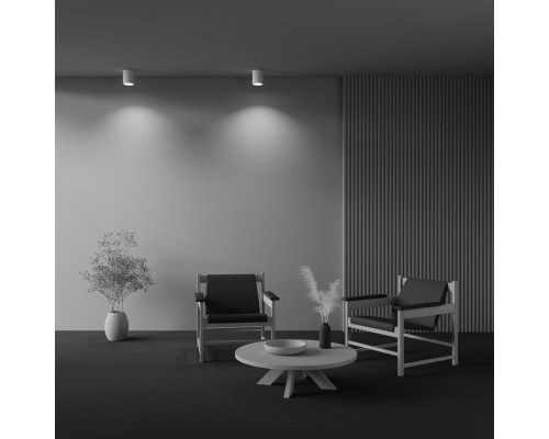 Потолочный светильник Technical C001CW-01W