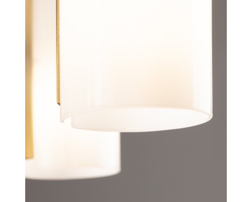 Потолочный светильник Freya FR5368CL-14BS