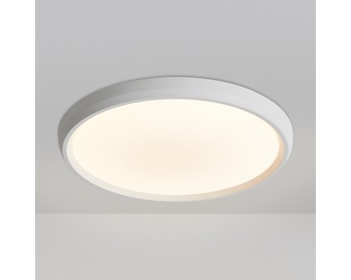 Потолочный светильник Freya FR6211CL-L24W