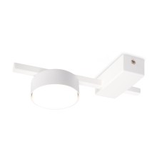 Потолочный светильник Freya FR5363CL-01W