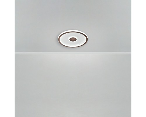 Потолочный светильник Freya FR5421CL-L80BR