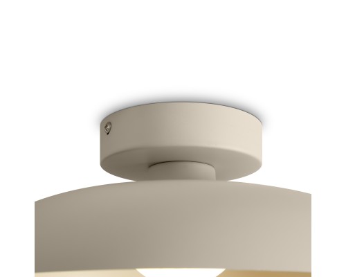 Потолочный светильник Freya FR5602CL-L10W