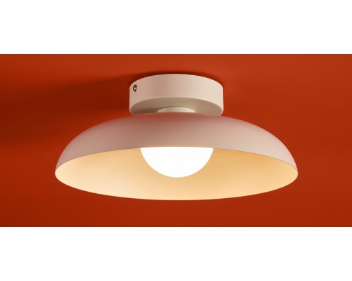 Потолочный светильник Freya FR5602CL-L10W