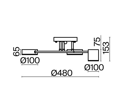 Потолочный светильник Freya FR6048CL-L6B