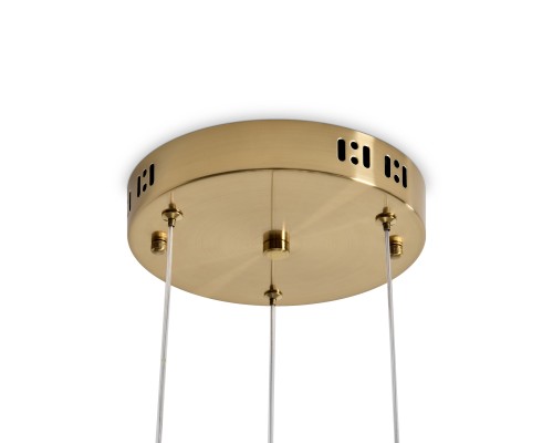 Подвесной светильник Freya FR6242PL-L24BS