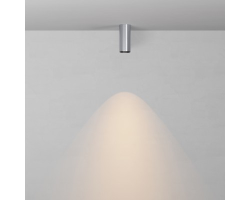 Потолочный светильник Technical C056CL-L12W2.7K-W-PT