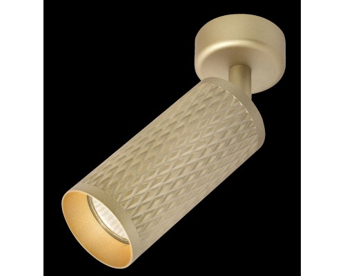 Потолочный светильник Technical C034CL-01G