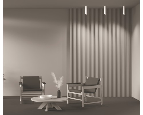 Потолочный светильник Technical C044CL-01-25GU10-W