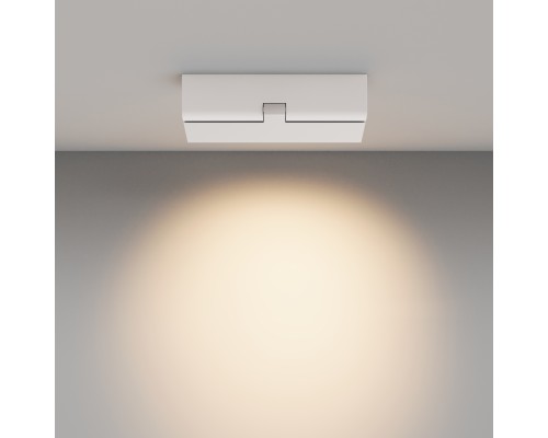 Потолочный светильник Technical C136CL-12W3K-W