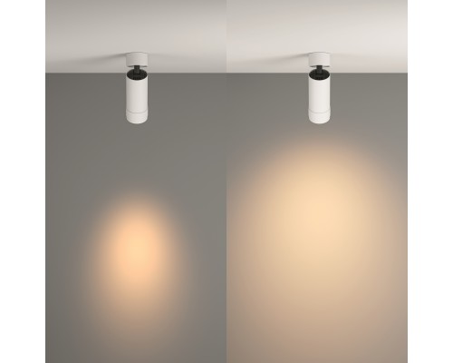 Потолочный светильник Technical C055CL-L12W3K-Z-W